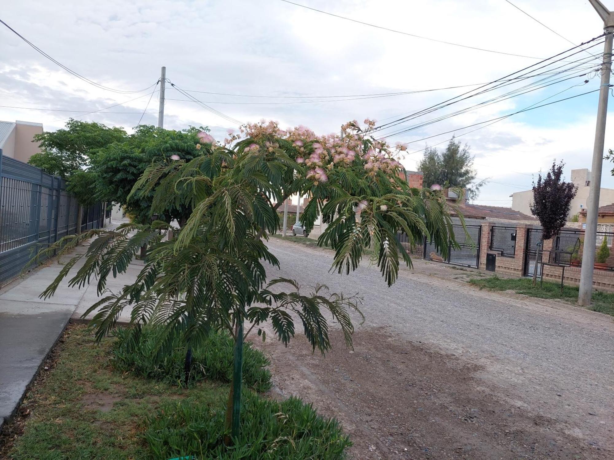 Habitacion Privada En La Casa De Thor Trelew Exterior photo