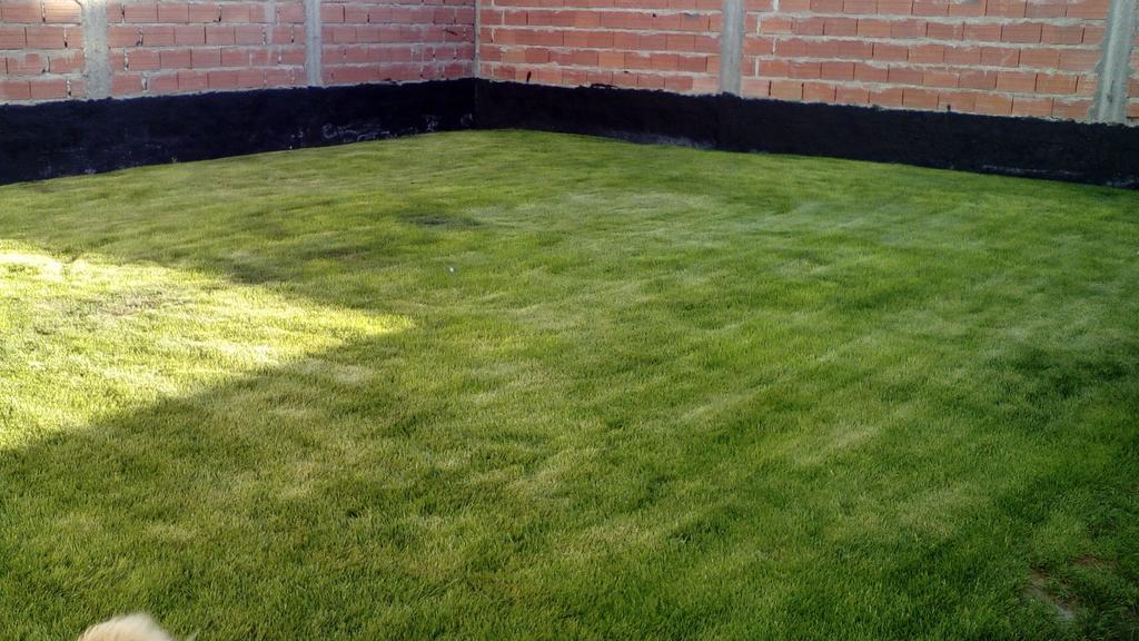 Habitacion Privada En La Casa De Thor Trelew Exterior photo